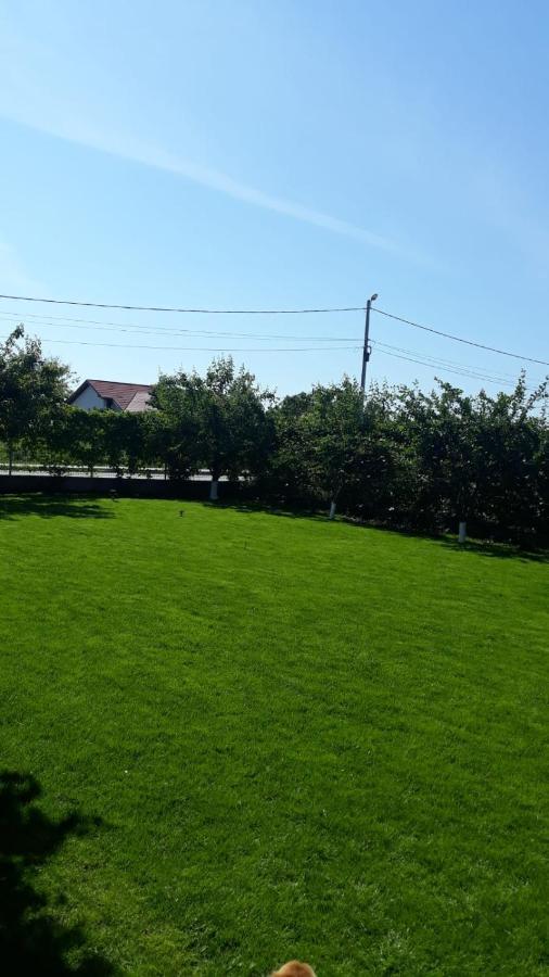 Vila Alexa Костинешти Экстерьер фото