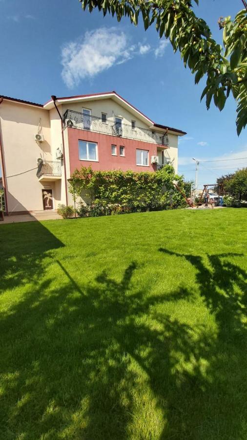 Vila Alexa Костинешти Экстерьер фото